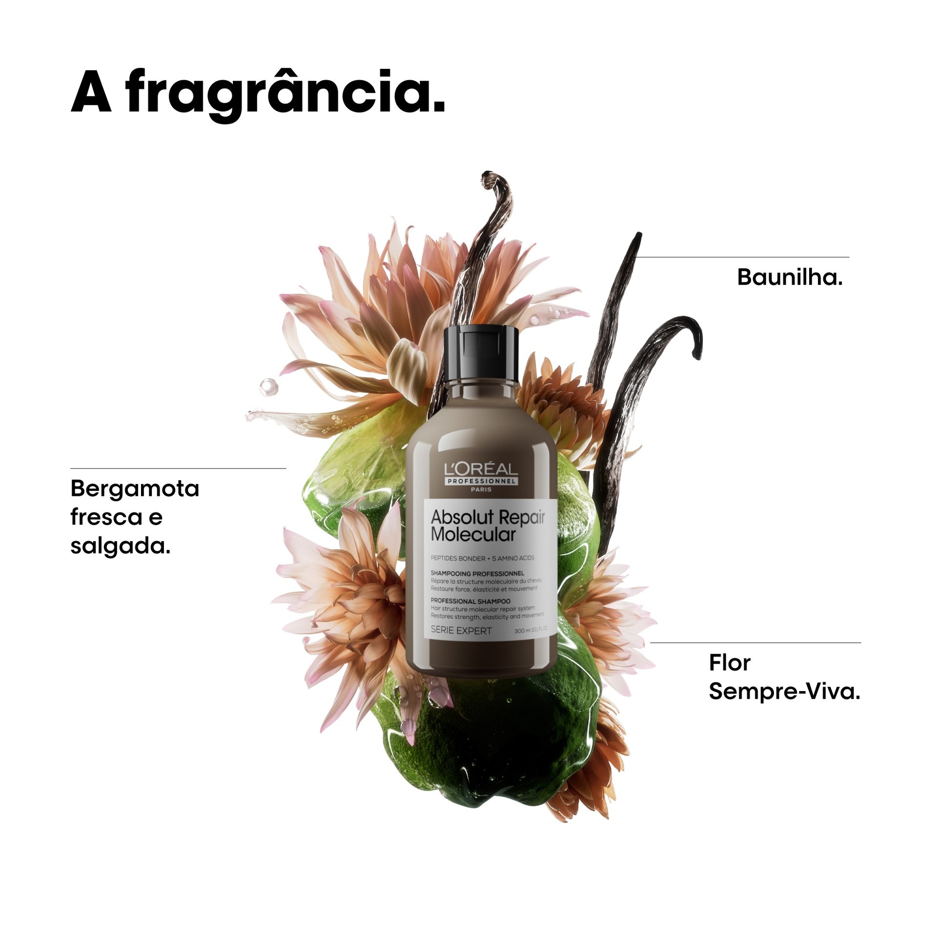 Shampoo Absolut Repair Molecular com flor de baunilha, bergamota e sempre-viva