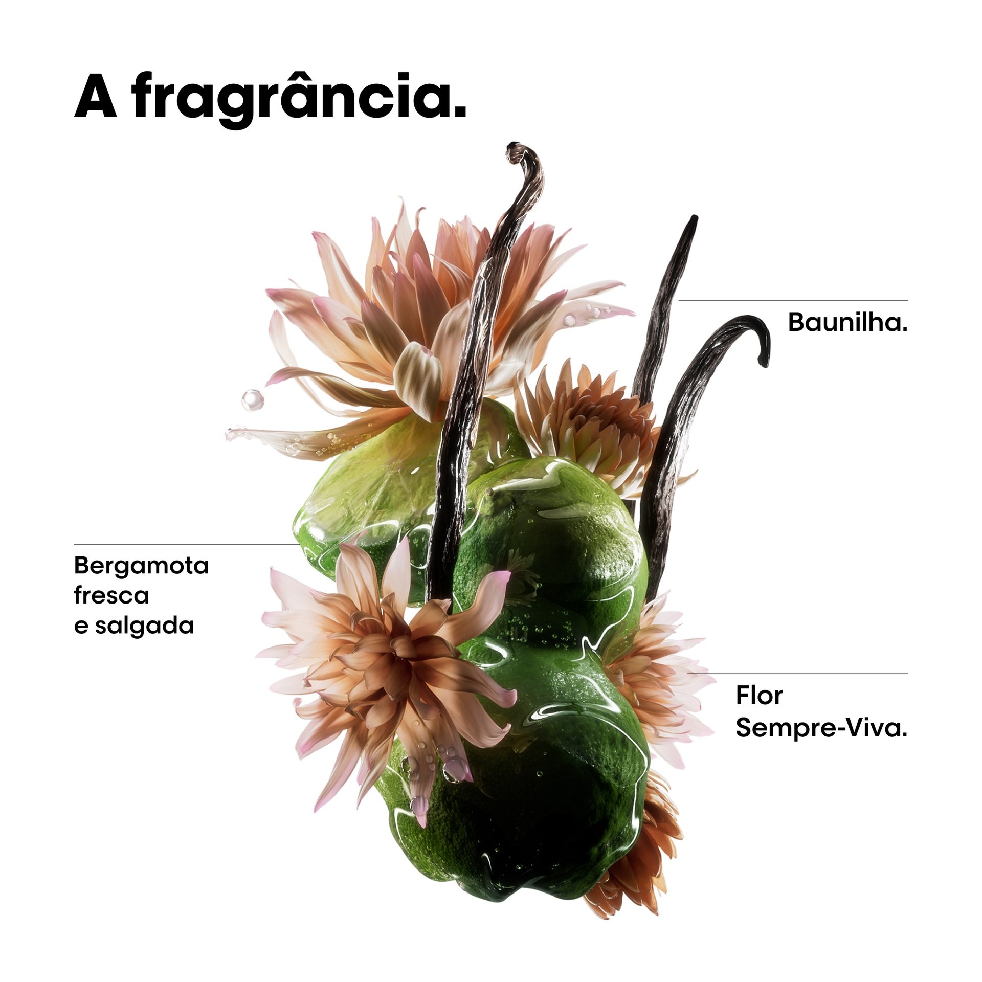 Óleo bifásico Absolut Repair Molecular com flor de baunilha, bergamota e sempre-viva