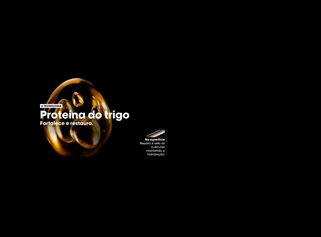 Absolut Repair - Proteína de Trigo