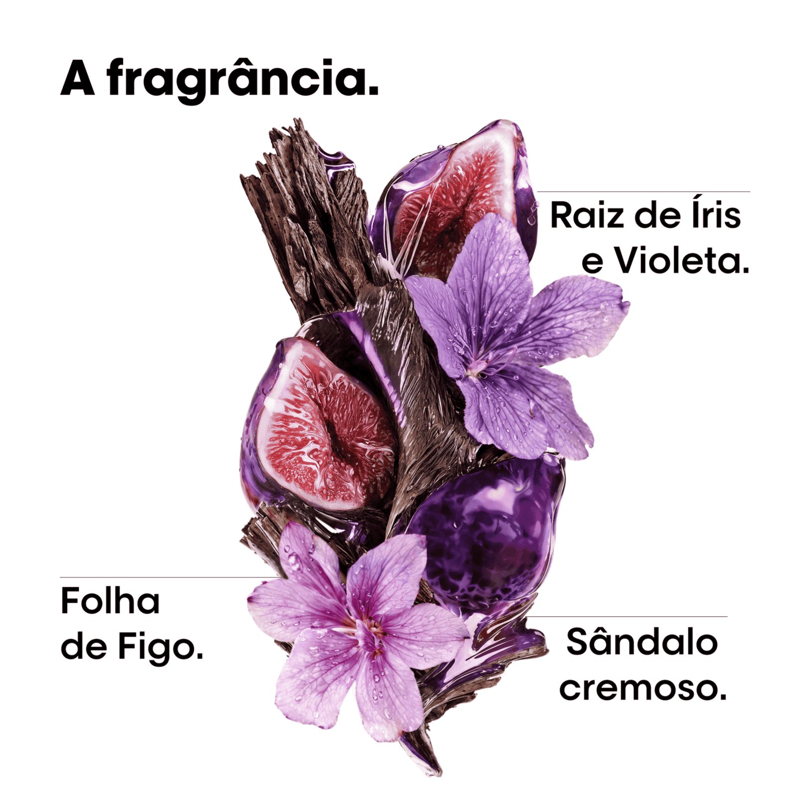 Sinta a fragrância do shampoo Keratin Alpha Sleek  L’Oréal Professionnel 
