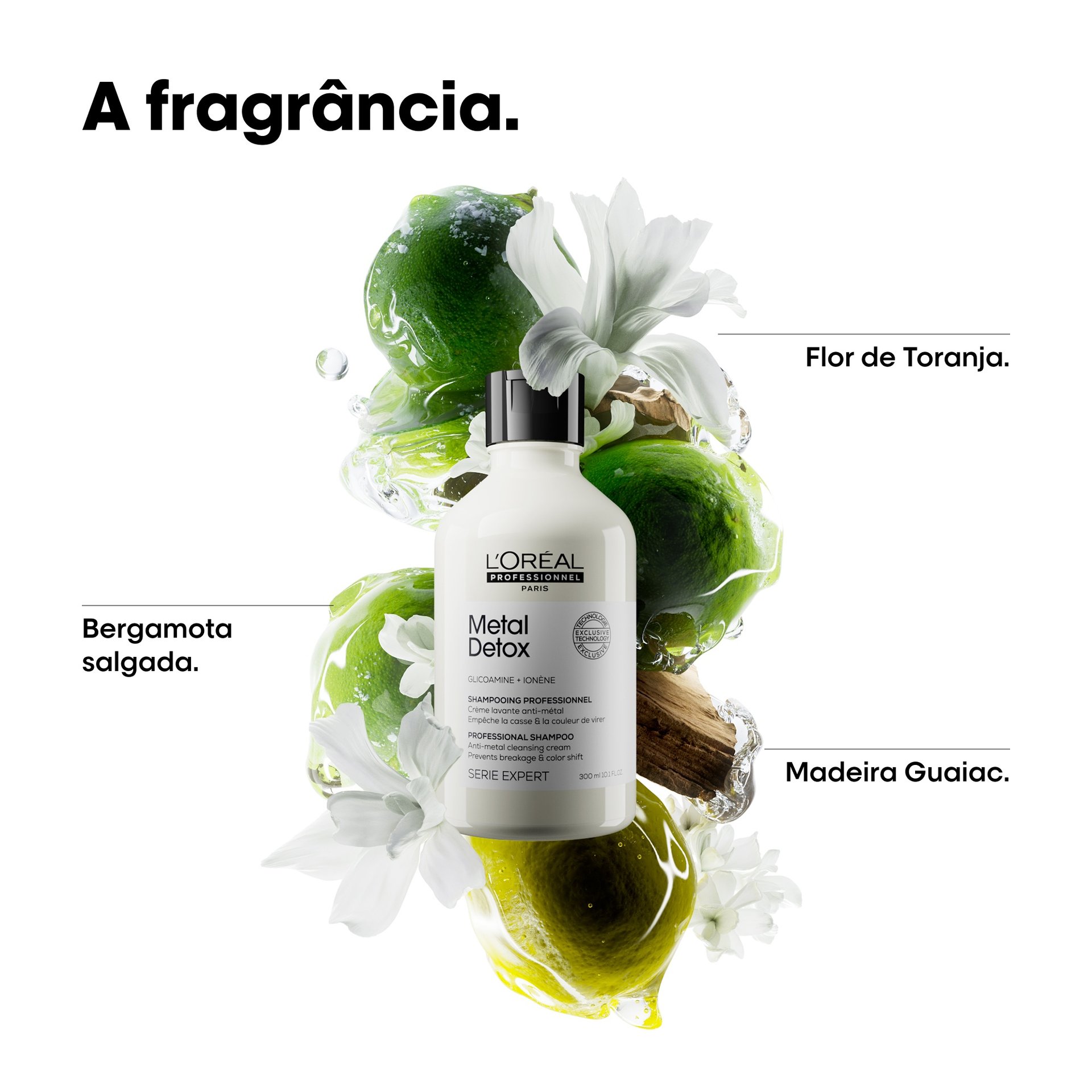 Shampoo sem sulfato Metal Detox L’Oréal Professionnel