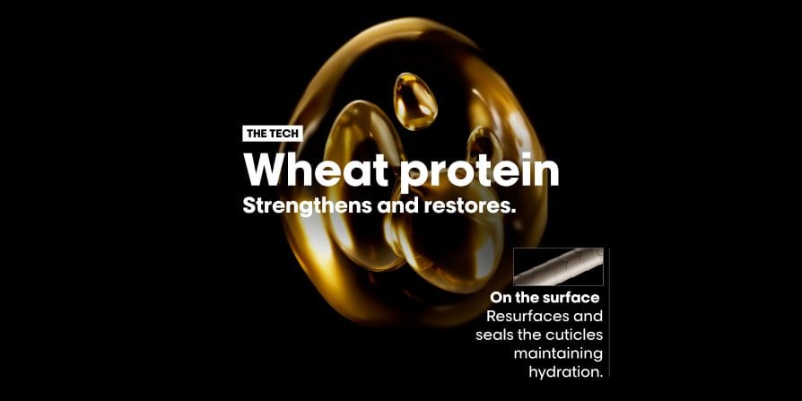 Wheat protein highlighted as a key ingredient in the Absolut Repair range, helping strengthen hair fiber and restore dry, damaged hair.