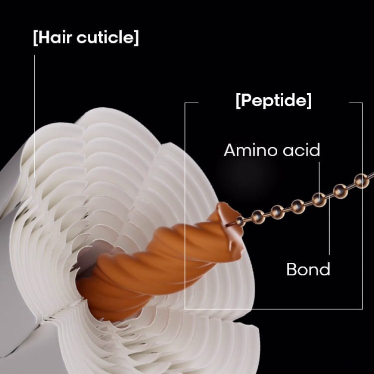 Ilustração mostrando como os peptídeos ajudam a reparar cabelos danificados, fortalecendo a cutícula e melhorando a resistência da fibra capilar.